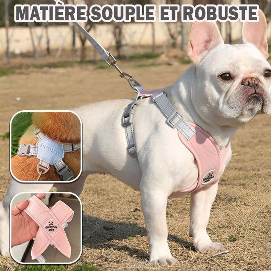 harnais chien confortable