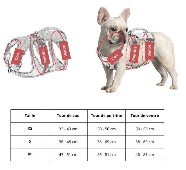 Harnais de sécurité pour chien moyen avec sangles renforcées