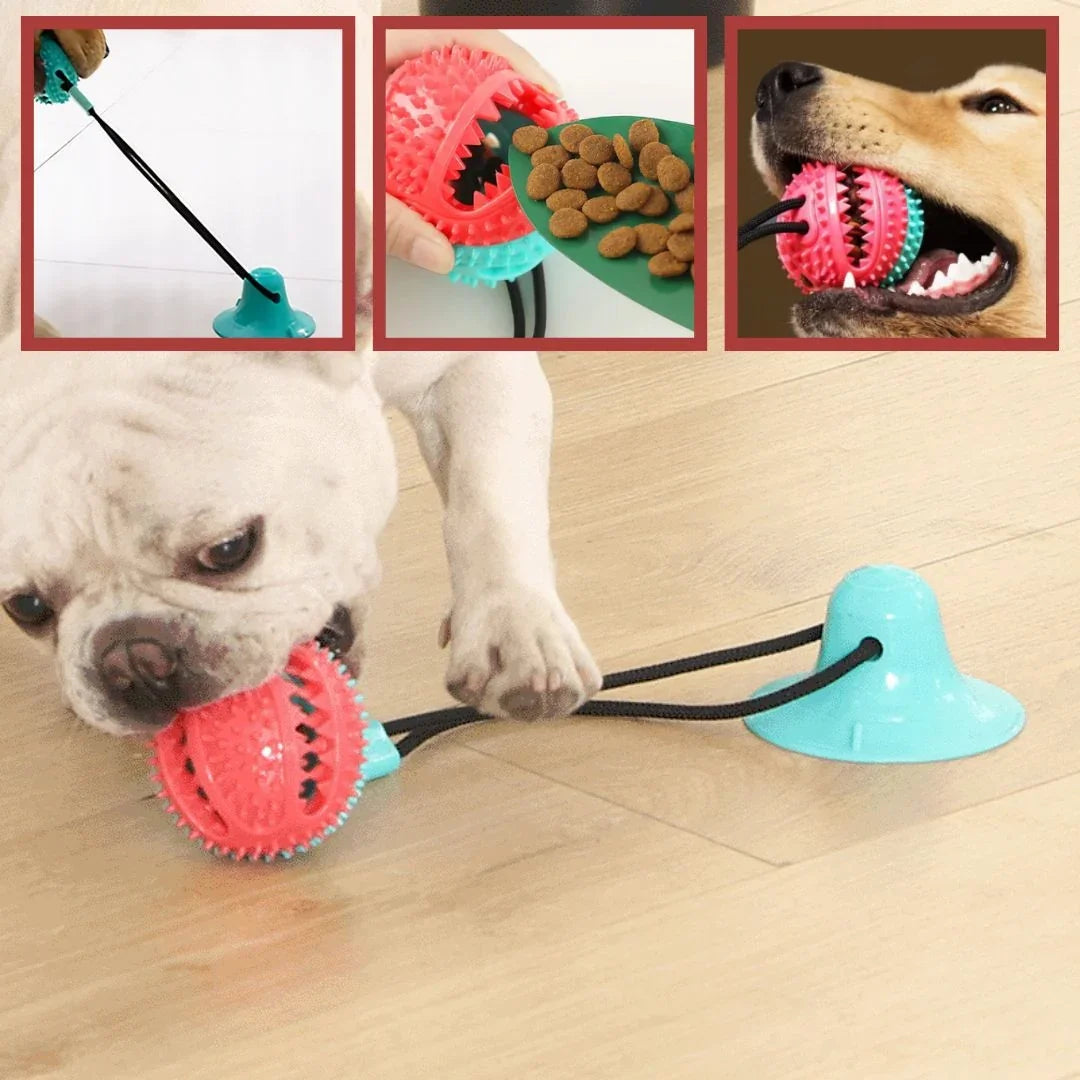Jouet pour chien avec ventouse pour distribution de nourriture et stimulation mentale