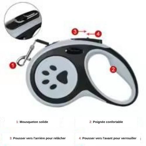 Laisse pour chien|AutoLaisse™ - MyDoggy - Shop