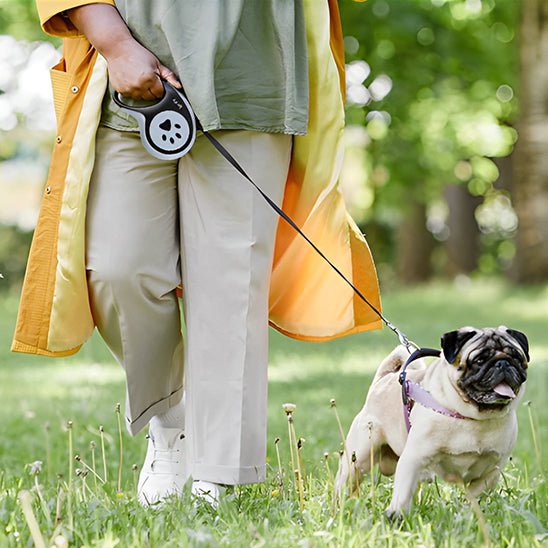 Laisse pour chien|AutoLaisse™ - MyDoggy - Shop