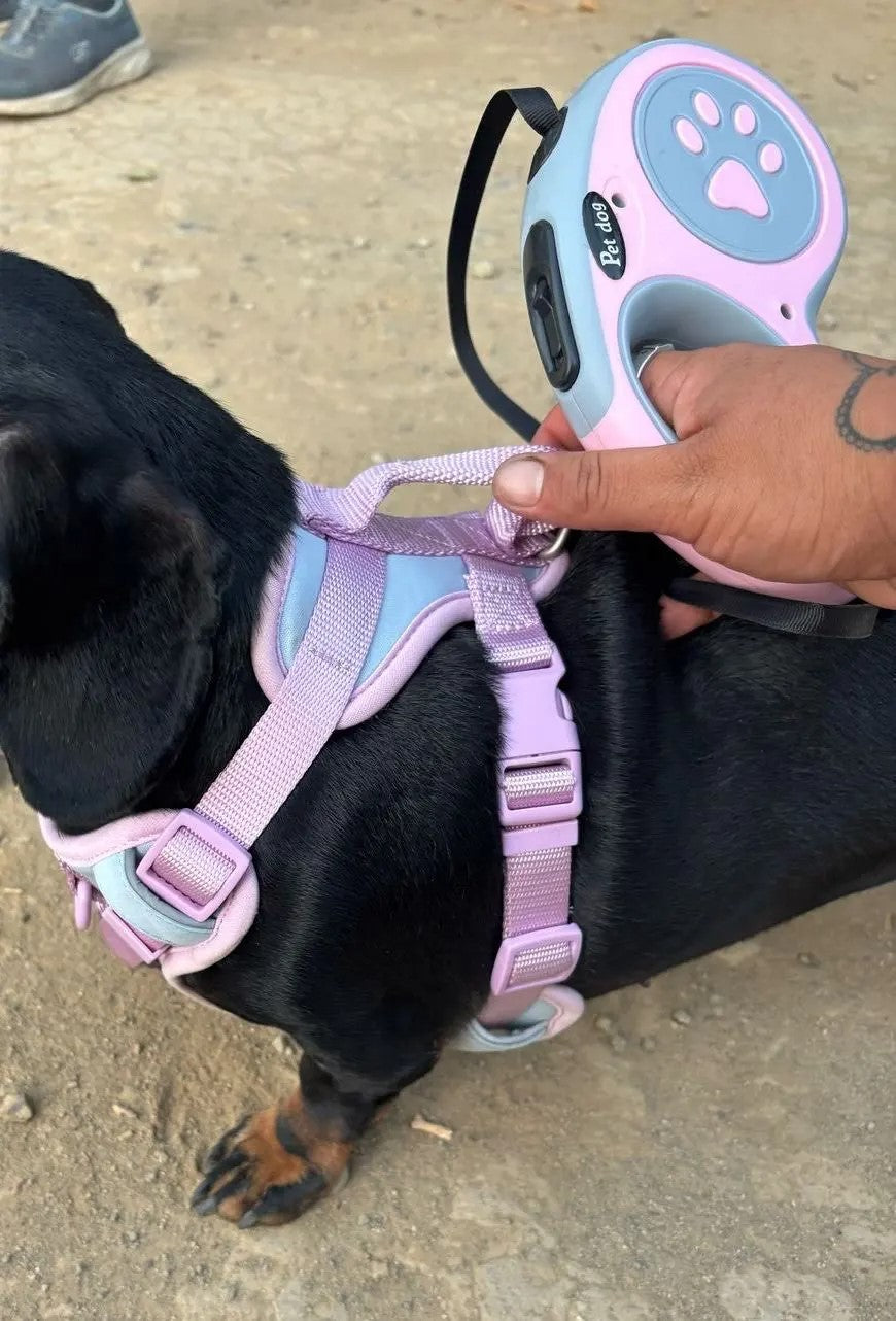 Laisse pour chien pratique