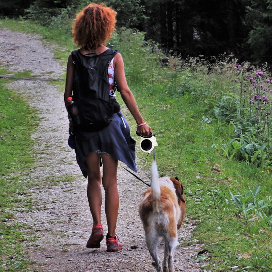 Laisse pour chien|RetractLedLaisse™ - MyDoggy - Shop