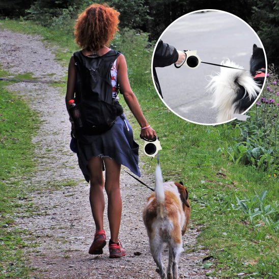 Laisse pour chien|RetractLedLaisse™ - MyDoggy - Shop