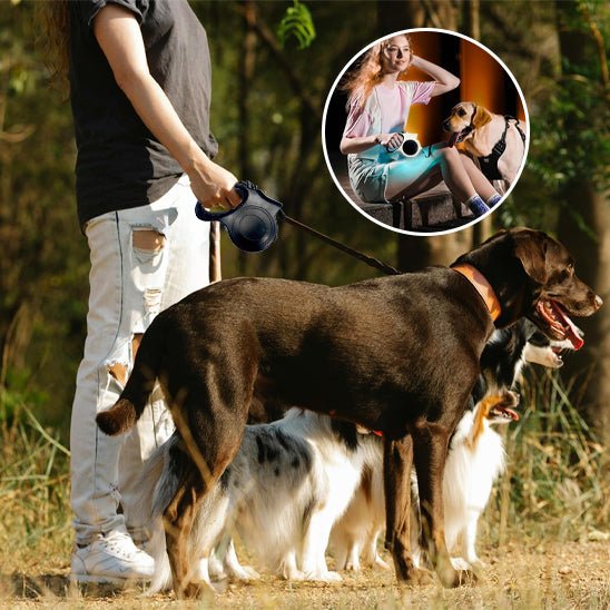 Laisse pour chien|RetractLedLaisse™ - MyDoggy - Shop