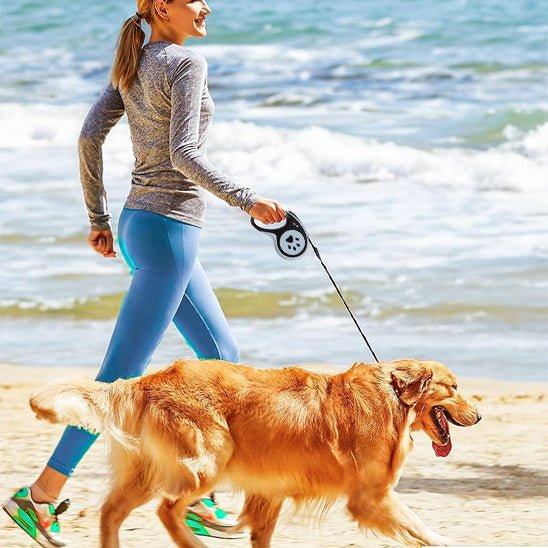 Laisse pour chien|AutoLaisse™ - MyDoggy - Shop