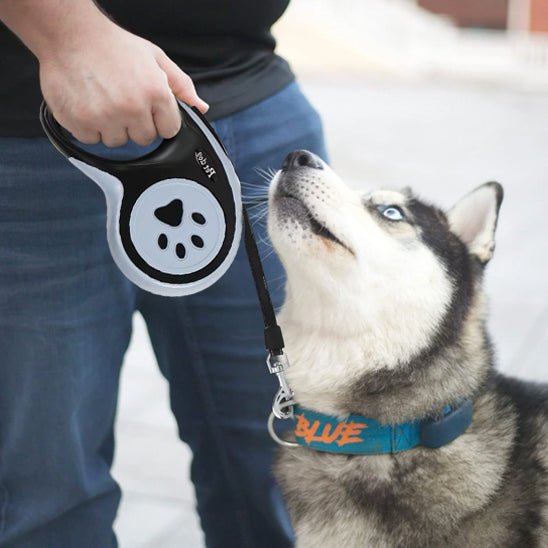Laisse pour chien|AutoLaisse™ - MyDoggy - Shop