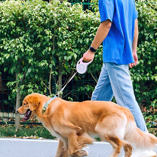 Laisse pour chien|AutoLaisse™ - MyDoggy - Shop