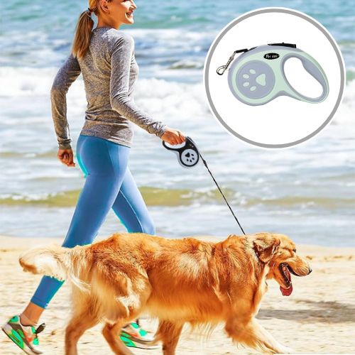 Laisse pour chien|AutoLaisse™ - MyDoggy - Shop