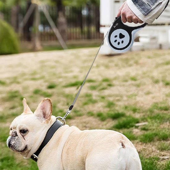 Laisse pour chien|AutoLaisse™ - MyDoggy - Shop
