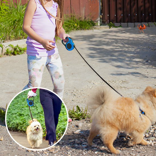 Laisse pour chien|ConfortLaisse™ - MyDoggy - Shop