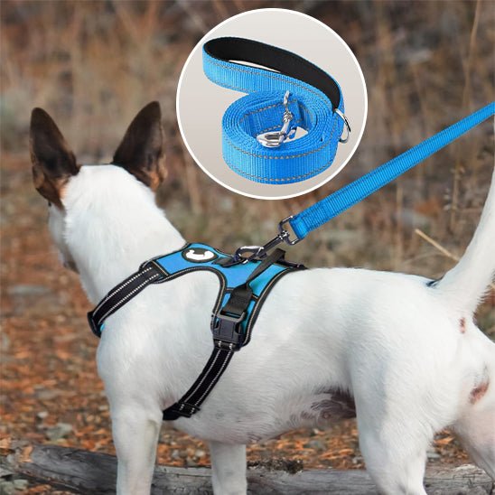 Laisse pour chien|Antitract Laisse™ - MyDoggy - Shop