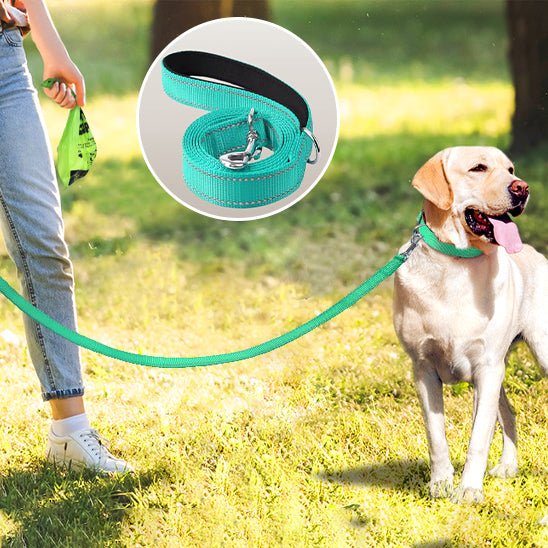 Laisse pour chien|Antitract Laisse™ - MyDoggy - Shop