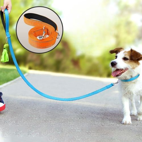 Laisse pour chien|Antitract Laisse™ - MyDoggy - Shop