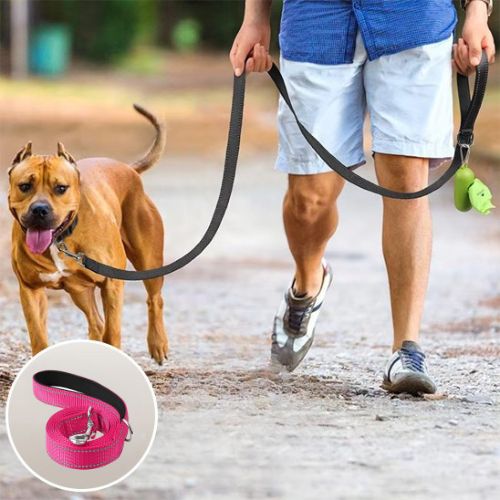 Laisse pour chien|Antitract Laisse™ - MyDoggy - Shop