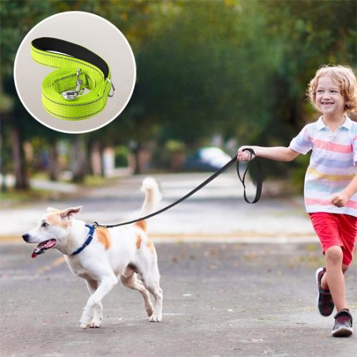 Laisse pour chien|Antitract Laisse™ - MyDoggy - Shop