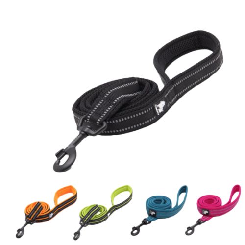 Laisse pour chien diverses couleurs