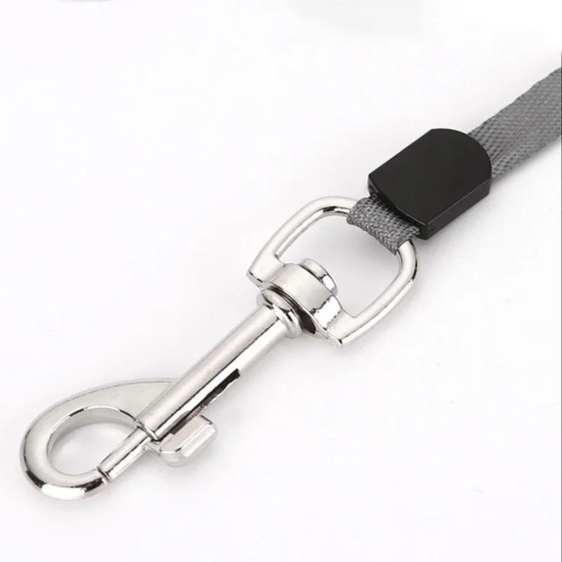 Laisse pour chien|AutoLaisse™ - MyDoggy - Shop
