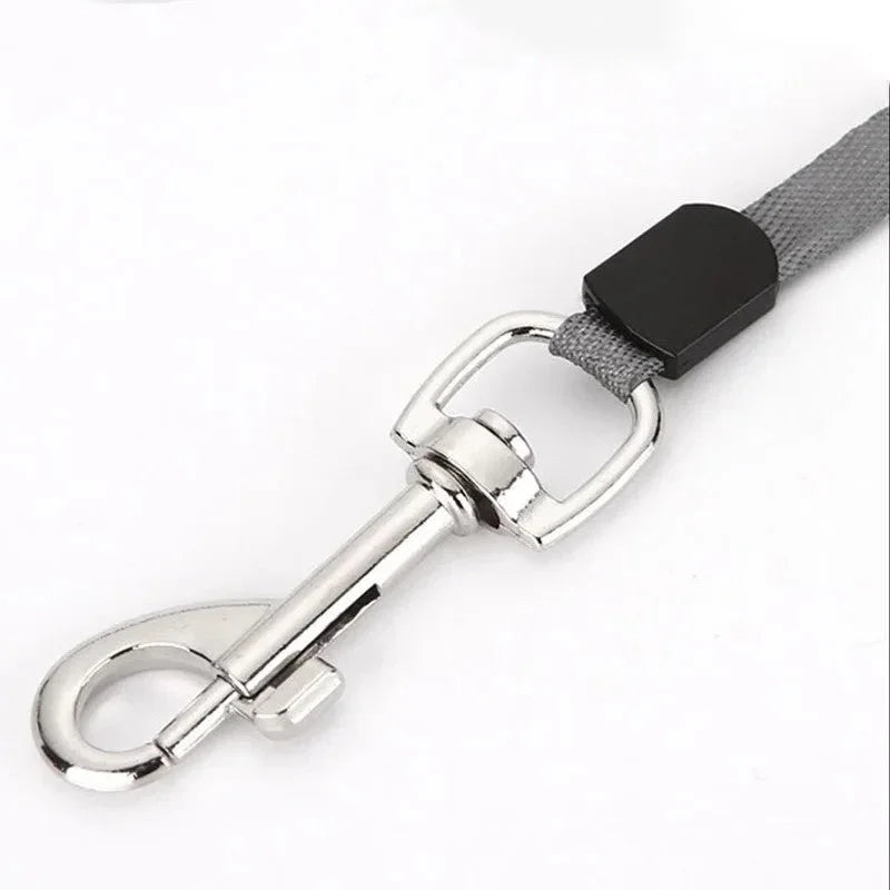 Laisse pour chien|AutoLaisse™ - MyDoggy - Shop