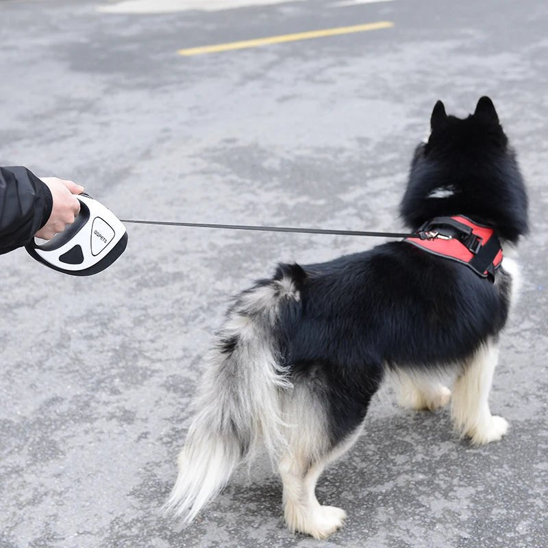 Laisse pour chien|LumiLaisse™ - MyDoggy - Shop