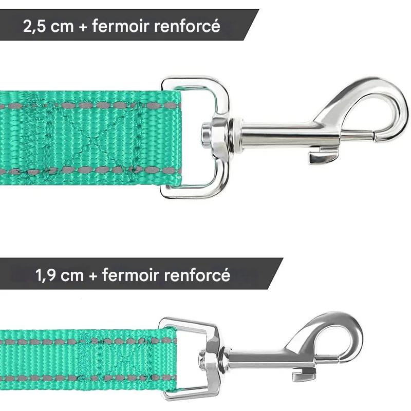 Laisse pour chien|Antitract Laisse™ - MyDoggy - Shop