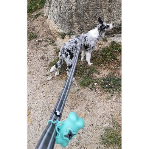 Laisse pour chien pratique
