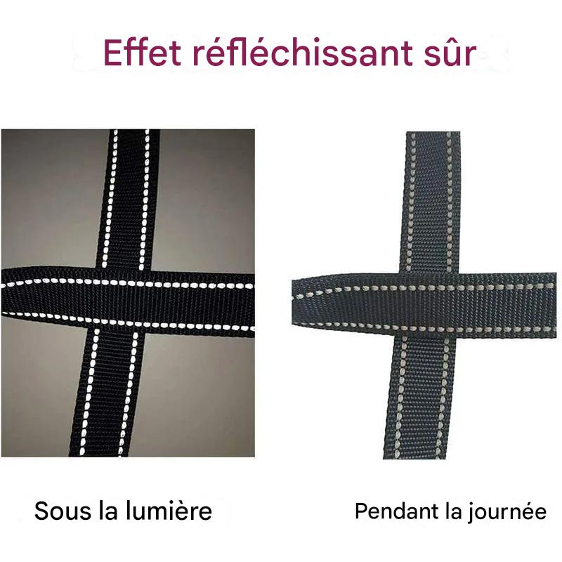 Laisse pour chien|Antitract Laisse™ - MyDoggy - Shop