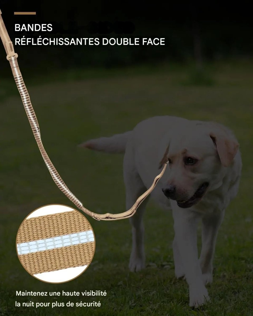 Laisse pour chien|RobustLaisse™ - MyDoggy - Shop