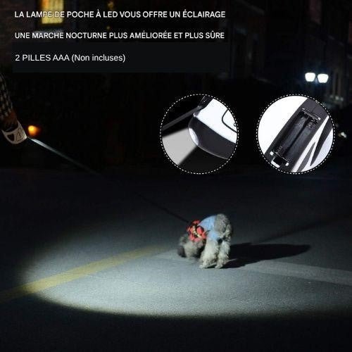 Laisse pour chien|LumiLaisse™ - MyDoggy - Shop