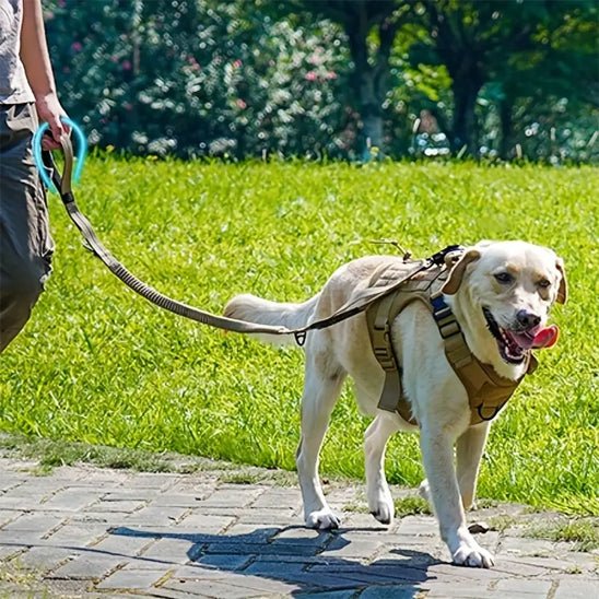 Laisse pour chien|RobustLaisse™ - MyDoggy - Shop