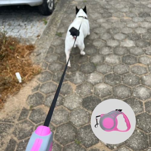 Laisse pour chien|ConfortLaisse™ - MyDoggy - Shop