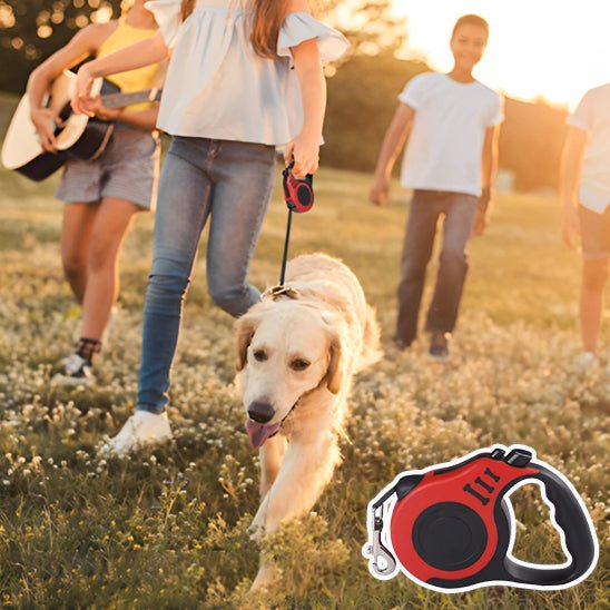 Laisse pour chien|ConfortLaisse™ - MyDoggy - Shop