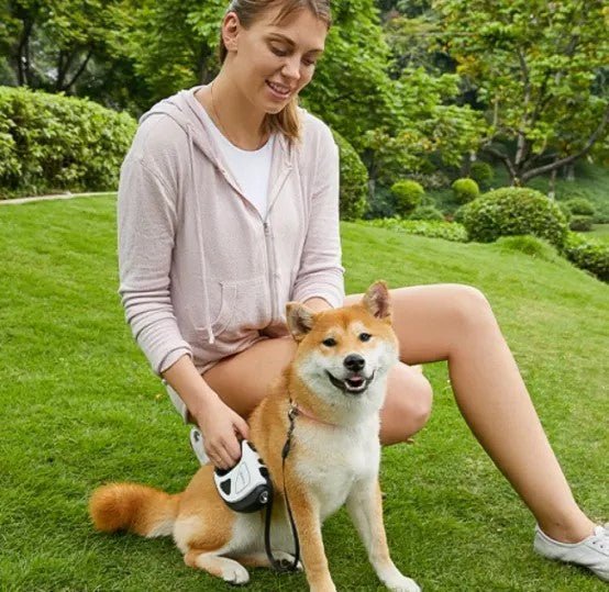 Laisse pour chien|LumiLaisse™ - MyDoggy - Shop