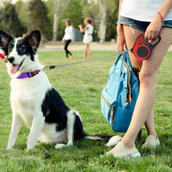 Laisse pour chien|ConfortLaisse™ - MyDoggy - Shop