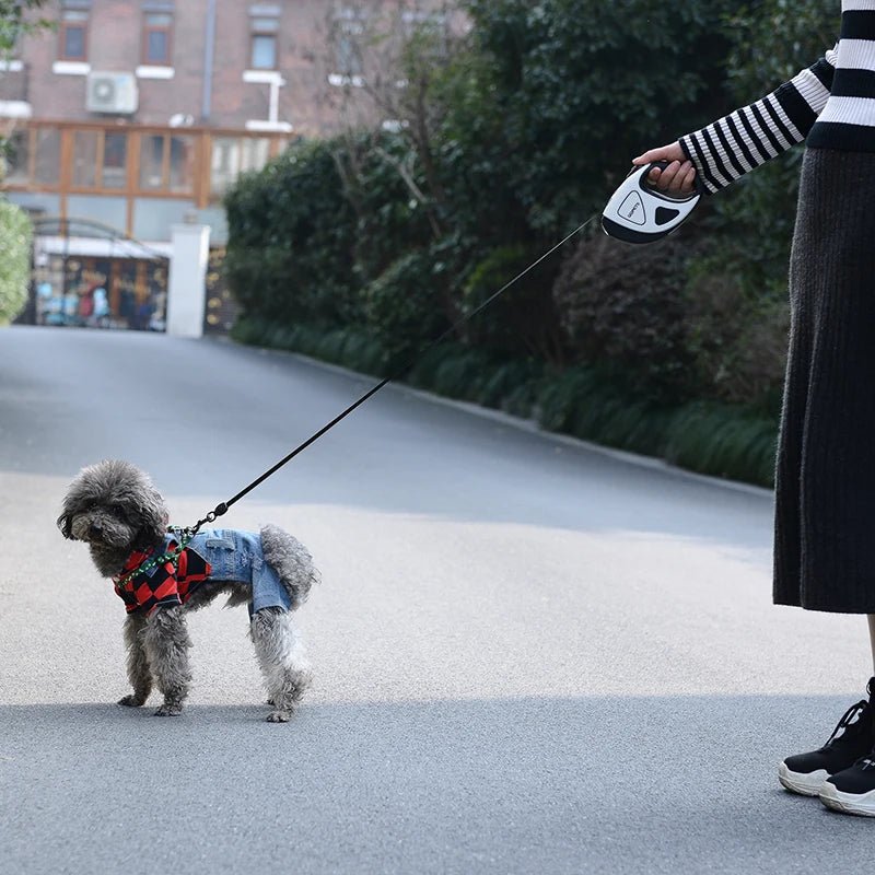 Laisse pour chien|LumiLaisse™ - MyDoggy - Shop