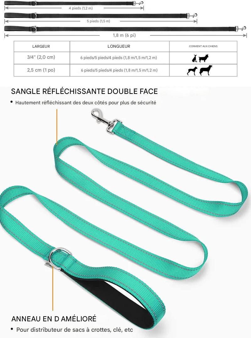 Laisse pour chien|Antitract Laisse™ - MyDoggy - Shop