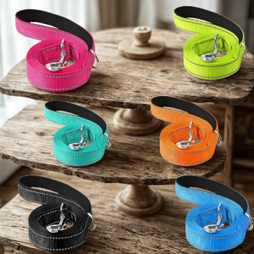 Laisse pour chien|Antitract Laisse™ - MyDoggy - Shop