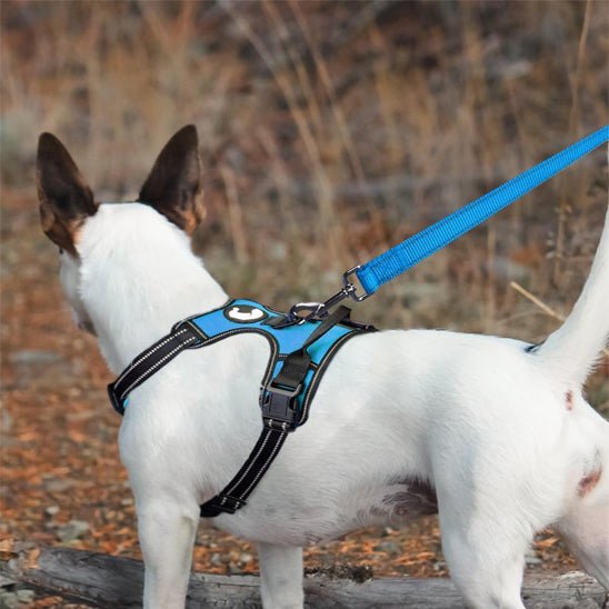 Laisse pour chien|Antitract Laisse™ - MyDoggy - Shop