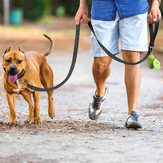 Laisse pour chien|Antitract Laisse™ - MyDoggy - Shop