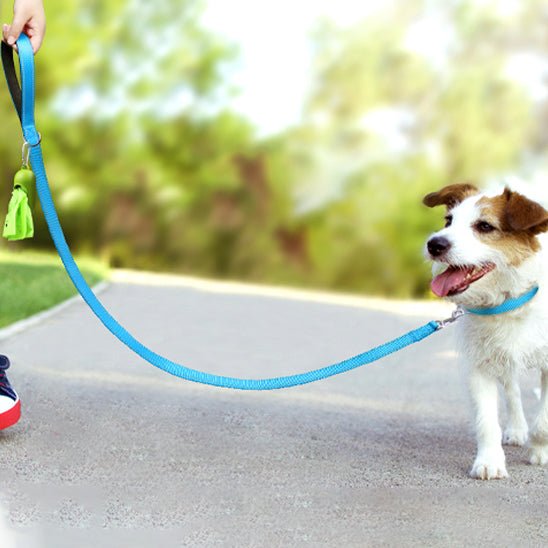 Laisse pour chien|Antitract Laisse™ - MyDoggy - Shop