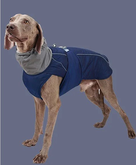 Manteau pour chien | BigPawGuardâą - MyDoggy - Shop