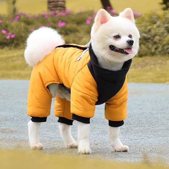 Manteau pour chien | ChienStylé™ - MyDoggy - Shop