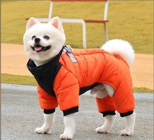 Manteau pour chien | ChienStylé™ - MyDoggy - Shop