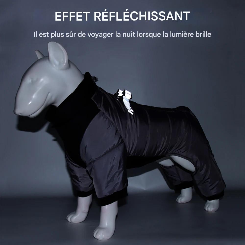 Manteau chien réfléchissant