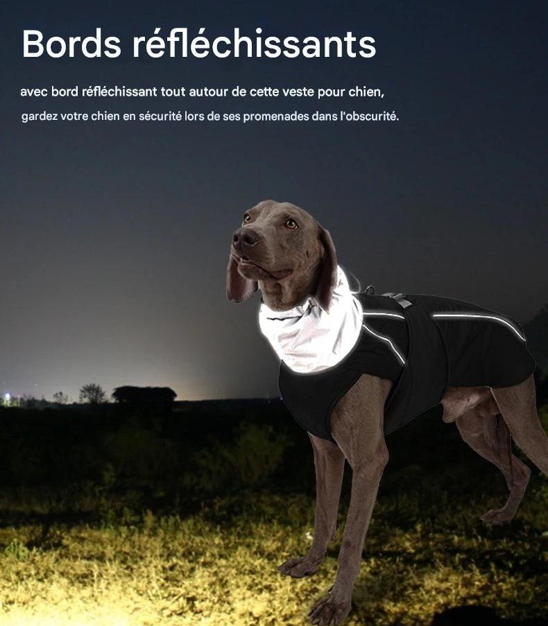 Manteau pour chien | BigPawGuardâą - MyDoggy - Shop