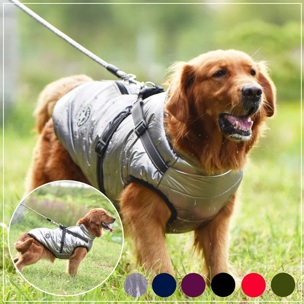 Manteau pour chien gris