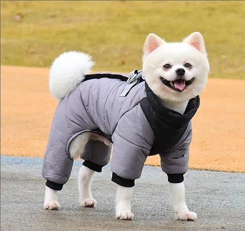 Manteau pour chien Gris