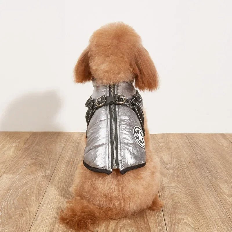 Manteau pour chien | SmallDogy™ - MyDoggy - Shop