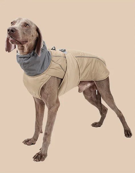 Manteau pour chien | BigPawGuardâą - MyDoggy - Shop