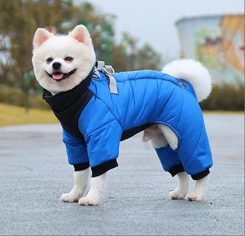 Manteau pour chien bleu